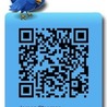 QR-Codes