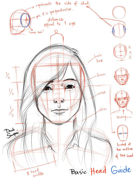 how to draw human faces proportions