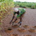 Global partnership launched to drive Africa&rsquo;s agricultural research | Higher Education and academic research | Scoop.it
