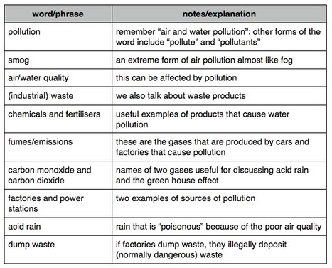 Write an essay vocabulary