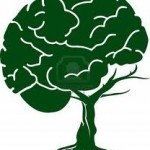Neurociencias y educaci&oacute;n | Conocimiento libre y abierto- Humano Digital | Scoop.it