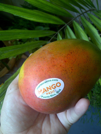 The Rainforest Garden: Why Your Mango Tastes Awful | Natural Soil Nutrients | Scoop.it