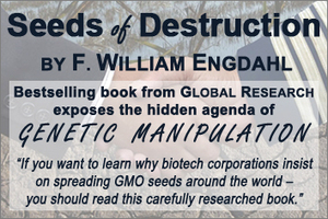 GMOs: Power, Profit and the Patenting of Life | Global Research | Food issues | Scoop.it