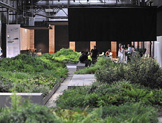 Geeen building in biennale