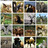 img_iPhone apps and resources