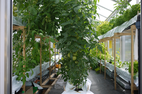 Can aquaponics feed the German capital? - Smart...