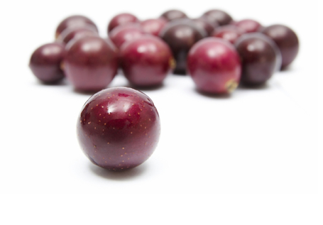 Muscadine Grape Resveratrol. Home grown, natura... | Peanuts, bioactive superfood in a shell | Scoop.it