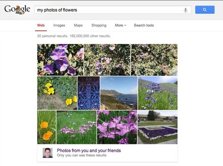 Google Brings Photos from Google+ to the Search Bar - SocialTimes | All things Google+ | Scoop.it