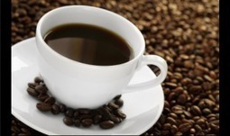 Tout, Tout, Tout, Vous Saurez Tout sur le Caf&eacute;! [Utile] | Vins & gourmandises | Scoop.it
