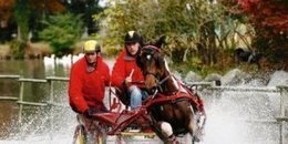 Le mondial d'attelage assure le spectacle &agrave; Pau | Couleurs d'Automne | Scoop.it