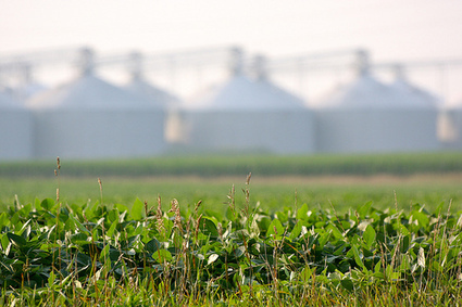 Les OGM, bientôt subventionnés au nom de la lutte contre le réchauffement ? | Nature to Share | Scoop.it