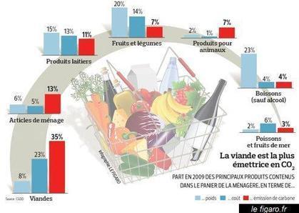 Non, la viande ne plombe pas le bilan carbone du panier de la m&eacute;nag&egrave;re ! | agro-media.fr | actualit&eacute; agroalimentaire | Scoop.it