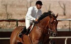 London 2012 Olympics: Saudi Arabian show jumpers to appeal FEI ban | Cheval et sport | Scoop.it