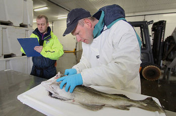 NORWAY: Revolutionizing a 1000-year-old tradition | Aquaculture and Fisheries World Briefing | Scoop.it