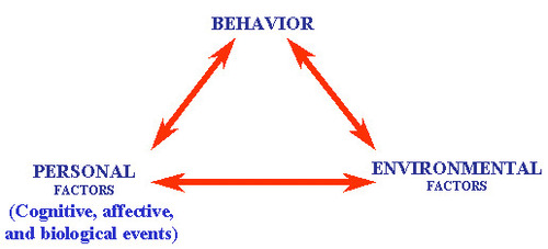 Overview of Social Cognitive Theory and of Self Efficacy juandon