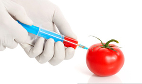 The Lies Behind Genetically Modified Organism (GMO) | HealthSmart | Scoop.it
