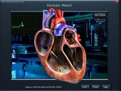 School introduces 3D learning to curriculum | &Alpha;&nu;&alpha;&lambda;&upsilon;&tau;&iota;&kappa;ά &Pi;&rho;&omicron;&gamma;&rho;ά&mu;&mu;&alpha;&tau;&alpha; &kappa;&alpha;&iota; &Delta;&iota;&delta;&alpha;&kappa;&tau;&iota;&kappa;ό&sigmaf; &Sigma;&chi;&epsilon;&delta;&iota;&alpha;&sigma;&mu;ό&sigmaf; | Scoop.it