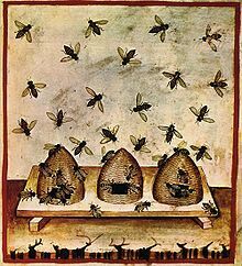 Apiculture : ma ruche je la d&eacute;clare | Abeilles, intoxications et informations | Scoop.it
