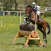 Pompadour&nbsp;: Nicolas Touzaint Champion de France | Cheval et sport | Scoop.it