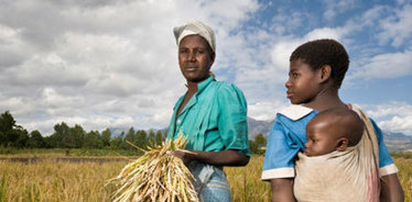 Time for a rethink? Getting smart about politics on climate change and agriculture | Climate Change, Agriculture & Food Security | Scoop.it