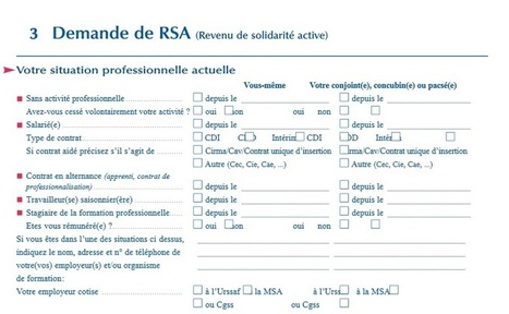 Le Formulaire de Demande RSA Ã  TÃ©lÃ©charger / Imprimer en Ligne ...