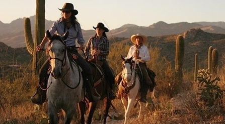 The Top Dude Ranch Resort in Arizona
