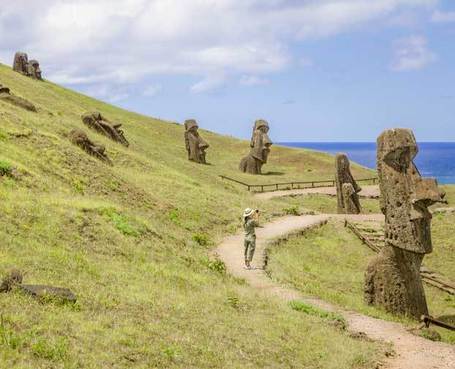 Does Easter Island Hold Alzheimer's Cure? | Science News | Scoop.it