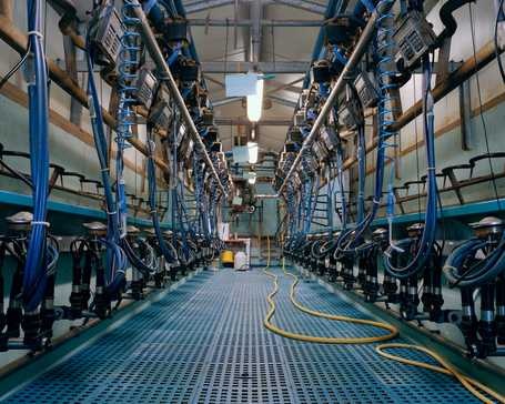 This Milk Production Was Brought To You By A Robot : The Evolution of Our Food Production | YOUR FOOD, YOUR HEALTH: Latest on BiotechFood, GMOs, Pesticides, Chemicals, CAFOs, Industrial Food | Scoop.it