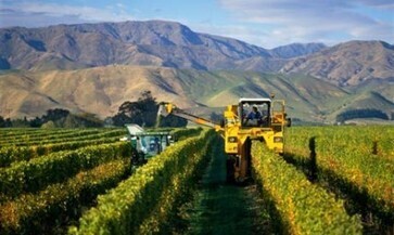 Marlborough needs appellation system, says Forrest | TheCellarClub | Scoop.it