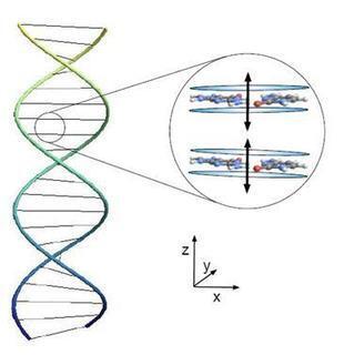 Quantum Entanglement Holds DNA Together, Say Physicists - Technology Review | Science - Quantum Phenomenon, Possibilities & Truth | Scoop.it