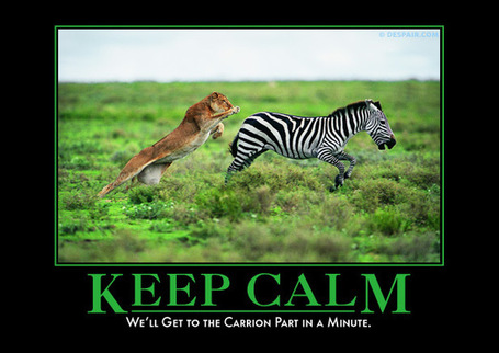 Keep Calm | overbooked | Scoop.it
