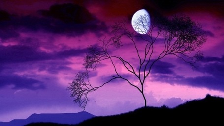&Aacute;rboles de la luna | No sabia que era imposible,,, y lo hice :-) | Scoop.it