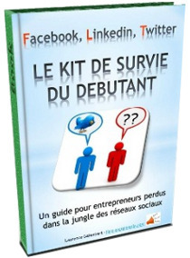 Facebook, LinkedIn, Twitter : kit de survie du d&eacute;butant | Espace Multim&eacute;dia du canton de Rocheservi&egrave;re | Scoop.it