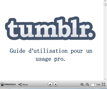 Guide d&rsquo;utilisation de Tumblr pour un usage&nbsp;pro | En Tongs : le Mag des Media Sociaux | Scoop.it