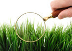 We Have a Right To Know What's In Our Food! | Sustainable Urban Agriculture | Scoop.it