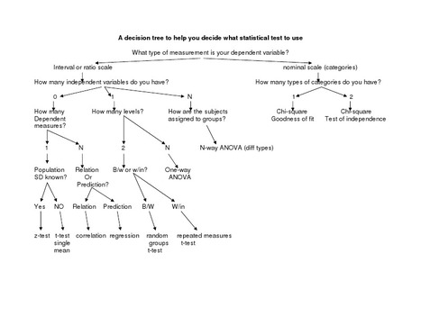 organisationsstrukturen