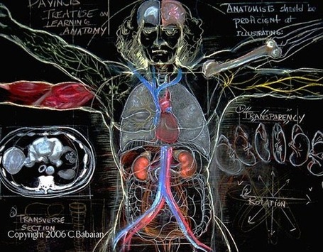 Blackboard anatomy art and the International Science & Engineering Visualization Challenge - Boing Boing | Data Visualization for Social Media | Scoop.it