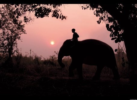 Best Round-The-World Trips | Everything from Social Media to F1 to Photography to Anything Interesting. | Scoop.it