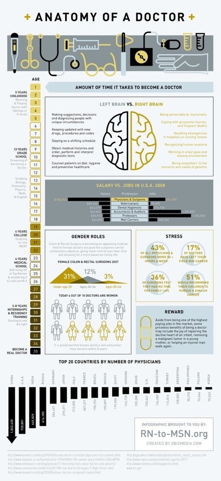 Anatomy of a Doctor [infographic] | Daily Infographic | MDigital | Scoop.it