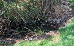Prevent Rainwater From Stagnating | Rainwater Harvesting : world tour | Scoop.it