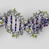 Killing Gene Patents Could Revitalize Biotech | SynBioFromLeukipposInstitute | Scoop.it