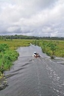 IDB sees role for private sector in promoting sustainable development | Inclusive Business and Impact Investing | Scoop.it