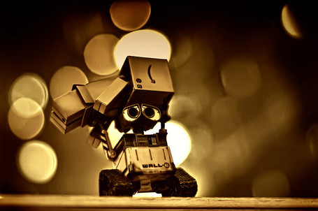 Danbo  Wall on Wall E Fights Back  Explored    Flickr   Photo Sharing    Best Of
