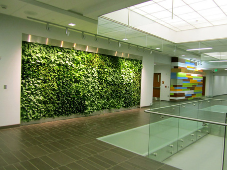 College 'Grows Up' for its Students | Vertical Farm - Food Factory | Scoop.it