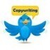 13 Ejercicios pr&aacute;cticos para conseguir tweets virales en Twitter | #Coolhunting | Scoop.it