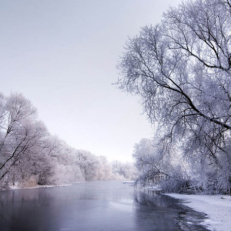 35 Snowy Tree Photos | Coolios Inspiring Photography | Scoop.it