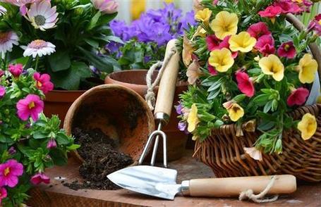 The art of sustainable gardening | 100 Acre Wood | Scoop.it