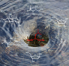 A New Clue into the Origin of Life | Skylarkers | Scoop.it