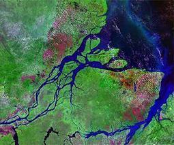 Amazon River exhales virtually all carbon taken up by rain forest | Sustain Our Earth | Scoop.it
