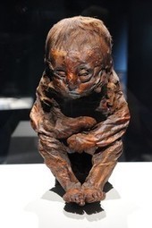 Mummies Show Symptoms, Offer Disease Clues | Heathers Scoop | Scoop.it